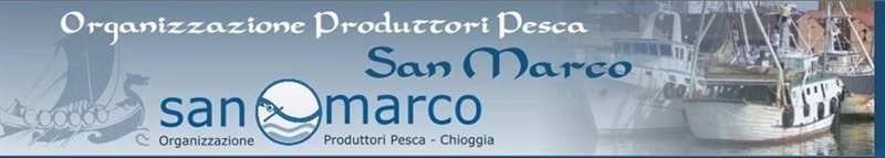 S.MARCO ASSOCIAZIONE PRODUTTORI PESCA